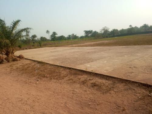 IMG-20240805-WA0029