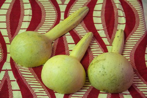 Whatsapp image 2025 07 25 at 14.01.48